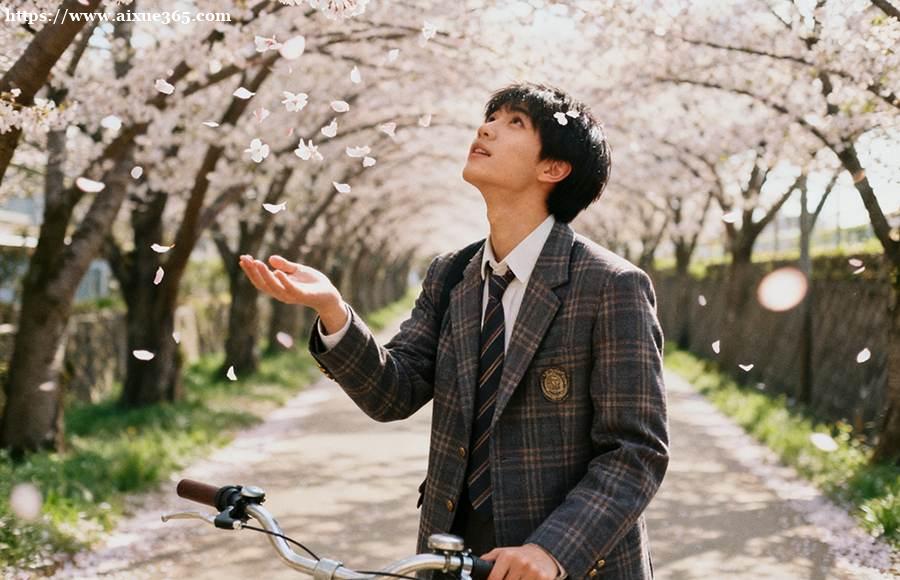 AMC8备考常见问题解答：高效攻克数学竞赛核心难点