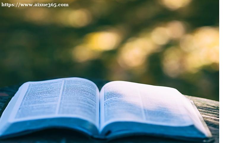 211学校保研全攻略：从门槛到成功推免的实用指南