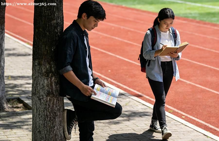 艺考文化课高效备考策略：短期冲刺与科学规划全攻略