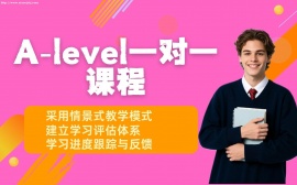 {上海A-Level一对一课程