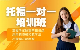 {天津托福一对一培训班