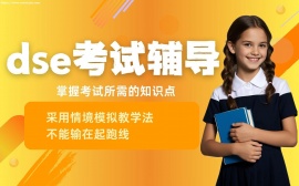 天津dse考试辅导