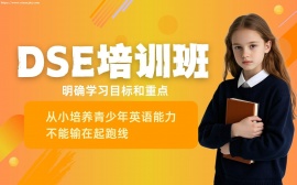 {天津dse英语培训