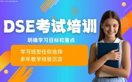 {天津dse考试培训