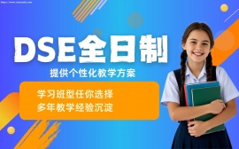 {天津DSE全日制辅导