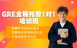 天津GRE全程托管一对一培训班