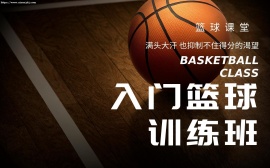 天津入门篮球训练班