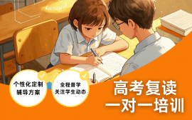 成都高考复读一对一