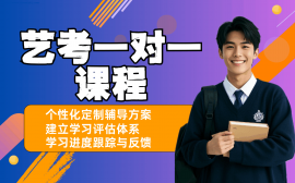 长沙艺考文化课一对一辅导