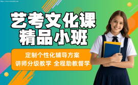 长沙艺考文化课精品小班