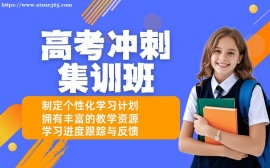 北京高考冲刺集训营