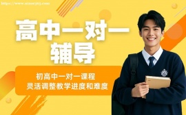 天津高中一对一课程