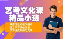 重庆艺考文化课冲刺班