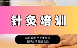 北京针灸培训