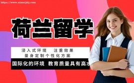 北京荷兰留学全链条服务