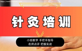 上海针灸培训
