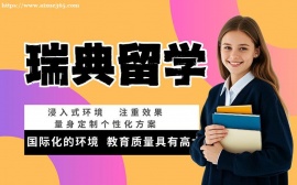 广州瑞典留学申请