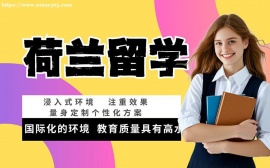 广州荷兰留学申请