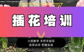 广州插花培训