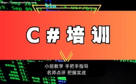 广州C#编程实战入门课程