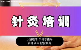 广州针灸培训课程