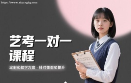 成都艺考一对一课程