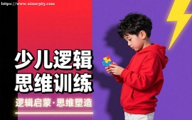 重庆少儿逻辑思维训练