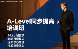 广州A-Level同步提高培训班