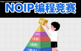 {深圳NOIP编程竞赛
