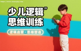 {昆明少儿逻辑思维训练