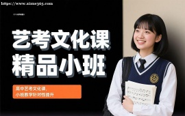 {长春艺考文化课精品小班