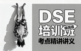 大连DSE培训班
