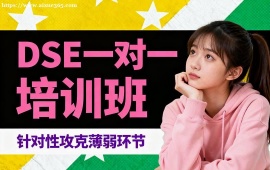 天津DSE一对一培训班