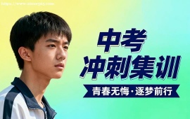 广州中考冲刺集训