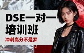 广州DSE一对一培训班