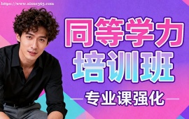 上海同等学力培训班