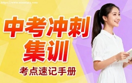 上海中考冲刺集训