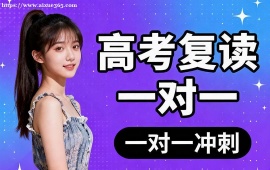 上海高考复读一对一