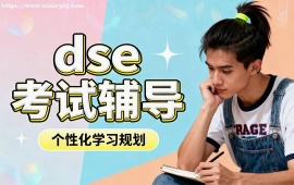 上海dse考试辅导
