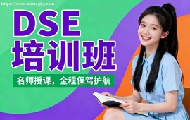 北京DSE培训班