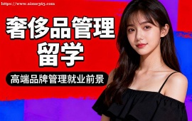 昆明奢侈品管理留学中介 面试模拟辅导 (作品集排版优化)