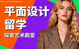 合肥平面设计留学机构 主题挖掘提升 (创意深度优化)