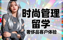 苏州时尚管理留学机构 符合院校要求 (主题定制创作)