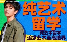 苏州纯艺术留学中介 名校录取冲刺 (罗德岛  皇艺导师)