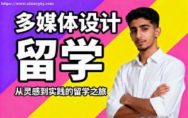 青岛多媒体设计留学机构 名校资源对接 (1v1 定制规划)