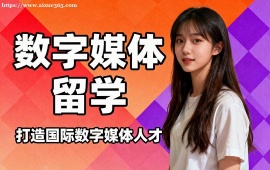 成都数字媒体留学机构 名校资源对接 (1v1 定制规划)