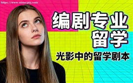 成都编剧专业留学机构 名校资源对接 (1v1 定制规划)