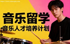 成都音乐留学机构 高录取率保障 (海外教授点评)