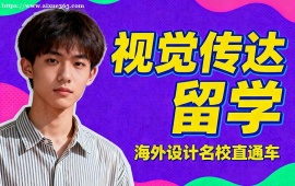 南京视觉传达留学机构 主题挖掘提升 (创意深度优化)