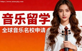 {深圳音乐留学机构 主题挖掘提升 (演奏风格优化)